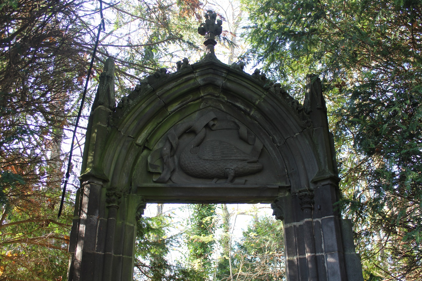 Image 100000000000056A0000039C576315C8F2E84343.jpg