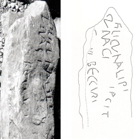 Fig. 7 : Penmorfa, Gwynedd, ferme Gesail Gyfarch, inscription de Cunalipus, fils de Cunacus
