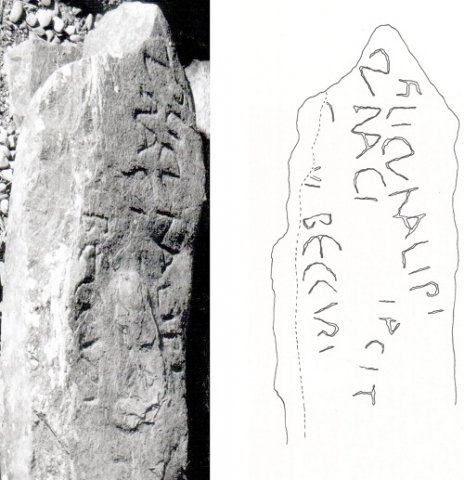 Fig. 7 : Penmorfa, Gwynedd, ferme Gesail Gyfarch, inscription de Cunalipus, fils de Cunacus