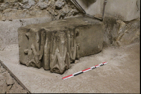 Fig. 4 : Isolat 500.