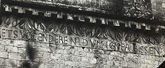 Image 10000000000001540000008C69DEF8B471D15F33.jpg