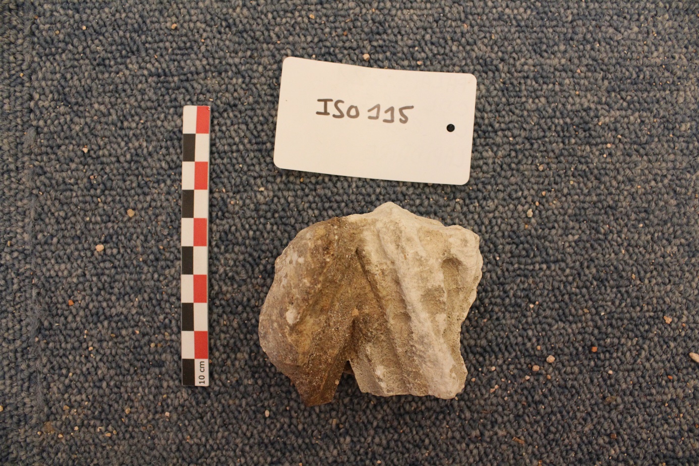 Image 100000000000056A0000039C8A208E42F85A2F79.jpg