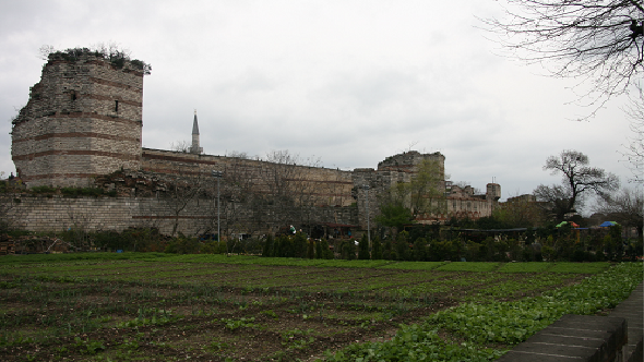 Image 100002010000024E0000014C77AF0EADA46211D3.png